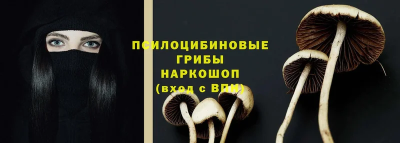 Псилоцибиновые грибы Magic Shrooms  дарнет шоп  гидра маркетплейс  Нефтегорск 